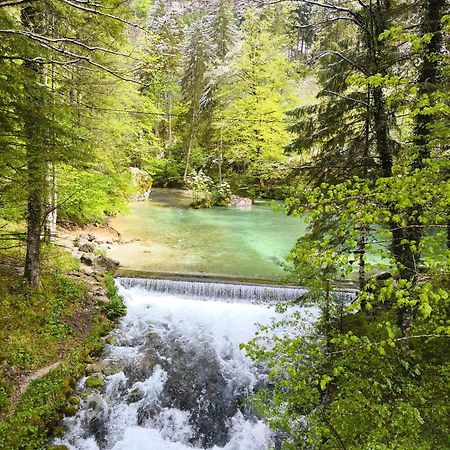 Вилла Skalca Камнишка-Бистрица Экстерьер фото